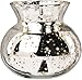 Luna Bazaar Vintage Mercury Glass Vase (4-Inch, Clara Pot Belly Design, Silver) - Decorative Flower Vase - for Home Decor, Party Decorations, and Wedding Centerpieces