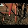 Rebels in the Roses (Directed by Lance Alton Troxel)