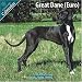 Great Dane (Euro) 2010 Wall Calendar #10043-10