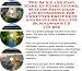 The Quick and Easy Make An Extra Income, Success Principles and eCommerce for Computer Equipment And Supplies On-line Businesses 3 CD Course