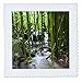 3dRose qs_89187_4 Flora, Bamboo forest waterfall, Haleakala NP, Maui - US10 JGS0016 - Jim Goldstein - Quilt Square, 12 by 12-Inch
