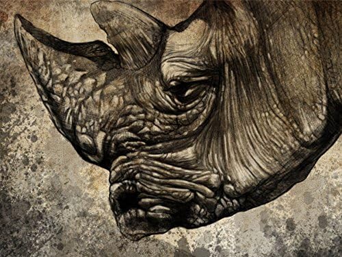 PAINTING ILLUSTRATION ANIMAL NUTURE RHINOCEROS RHINO HEAD ART PRINT MP5149A