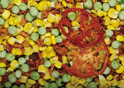 Just Veggies Freeze-Dried Bird Treats - 8 oz