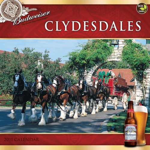 budweiser clydesdales 2011 wall calendar
