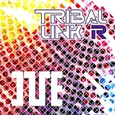 TRIBAL LINK－R