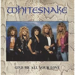Give Me All Your Love / Fool For Your Loving (Incl. Product Fact) [Vinyl Single]