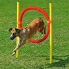 Karlie 31853 Agility - Reifen-Set 3 x 100 cm - 60 cm Durchmesser, rot / gelb