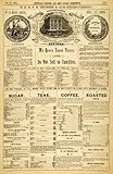1883 Article Sugar Tea Coffee Thurber London Pricing Goods Historical Reference - Original Print Article