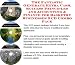 The Fantastic Generate Extra Cash, Success Principles and Accounting & Finance for Basketry Businesses 3 CD Combo Pack