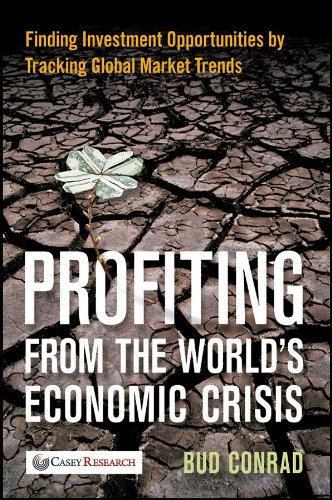 Profiting from the World's Economic Crisis: Finding Investment