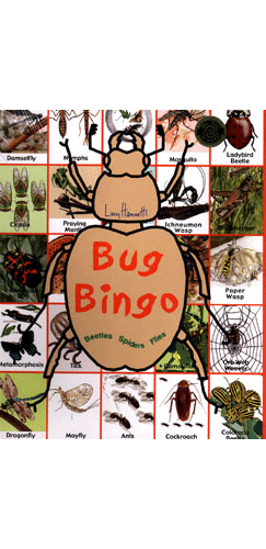 Bug Bingo