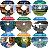The Comprehensive 9 Audio CD No Money Down, Millionaire Making Real Estate Course