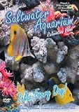 Relax Every Day!  The ultimate Saltwater Aquarium Relaxation DVD / Video