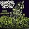 Grindcore drummers that are in the most bands