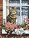 Royal & Langnickel PCS11 Painting by Numbers Small Canvas Painting Set, Cat in The Window