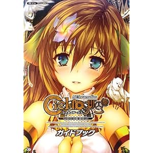 �V�F���m�T�[�W�� ~����ꂽ���֕�����~ RE:Incarnation �K�C�h�u�b�N