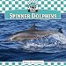 Spinner Dolphins (Checkerboard Animal Library: Dolphins Set I)