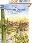 The Sonoran Desert by Day and Night (Dover Nature Coloring Book)