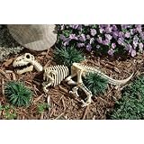 Dinosaur Raptor Fossils Home Garden Sculpture Statue