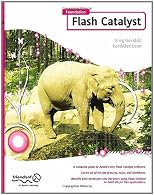 Foundation Flash Catalyst