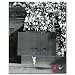 Willie Mays New York Giants - The Catch - Autographed 8X10 Photograph