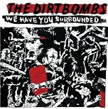 We Have You Surrounded [VINYL]