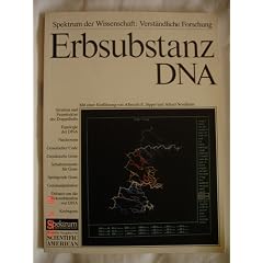 Erbsubstanz DNA. Vom genetischen Code zur Gentechnologie