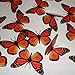 Translucent Butterfly Monarch - 15 Transparent Monarch Regular Size Butterflies