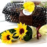 ���̓��M�t�g ���ԂЂ܂��̃~�j�u�[�P�Ƃ����Ƃ��Z�b�g