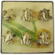 Square Magnet Board with 6 Gilt Frog Magnets