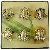 Square Magnet Board with 6 Gilt Frog Magnets