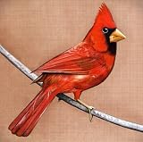 Old Crows / Young Cardinals