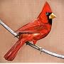 Old Crows / Young Cardinals