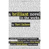 A Brilliant Novel in the Works