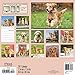 Golden Retrievers Wall Calendar (2017)