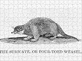 Jigsaw of BEWICK / MEERKAT from Mary Evans