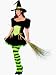 Wizard of Oz - Emerald Witch Adult Plus-Size Halloween Costume Size 18-20 X-Large (XL)