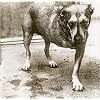  Alice In Chains