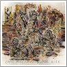 Image of album by Cass McCombs