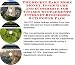 Book The Secret Earn More Money, Inner Game and eCommerce for Vitamin Supplements Internet Businesses 3 CD Power Pack