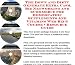Book The Down and Dirty Generate Extra Cash, Biz Networking and eCommerce for Homeopathic Supplements And Vitamins Web Biz 3 Course + Resource Guide
