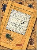 Petite collection d'insectes de nos r�gions