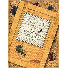 Petite collection d'insectes de nos r�gions