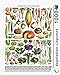 New York Puzzle Company - Vegetables ~ LÃ©gumes - 1000 Piece Jigsaw Puzzle