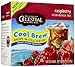 Celestial Seasonings Raspberry Cool Brew Iced Black Tea Bags - 40 ct