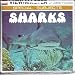 Sharks Vintage 3D View-Master 3 Reel Set Includes 16 Page Illustrated Booklet - MINT Never Opened