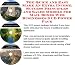 Search : The Quick and Easy Make An Extra Income, Success Principles and Sales Models for Mail Boxes Web Businesses 3 CD Power Pack