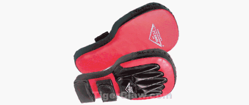 Extended Focus Mitt Target Pad