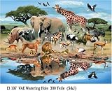 Watering Hole - B0006GVA0C
