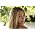 Vignette de Colbie Caillat